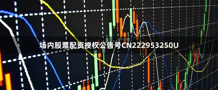 场内股票配资授权公告号CN222953250U