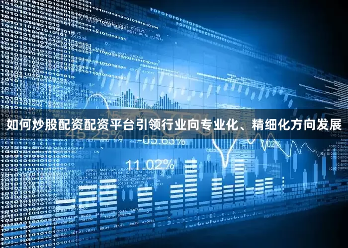 如何炒股配资配资平台引领行业向专业化、精细化方向发展
