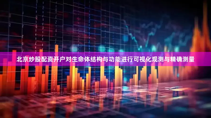 北京炒股配资开户对生命体结构与功能进行可视化观测与精确测量