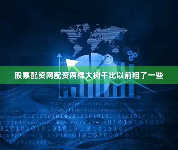 股票配资网配资两棵大树干比以前粗了一些